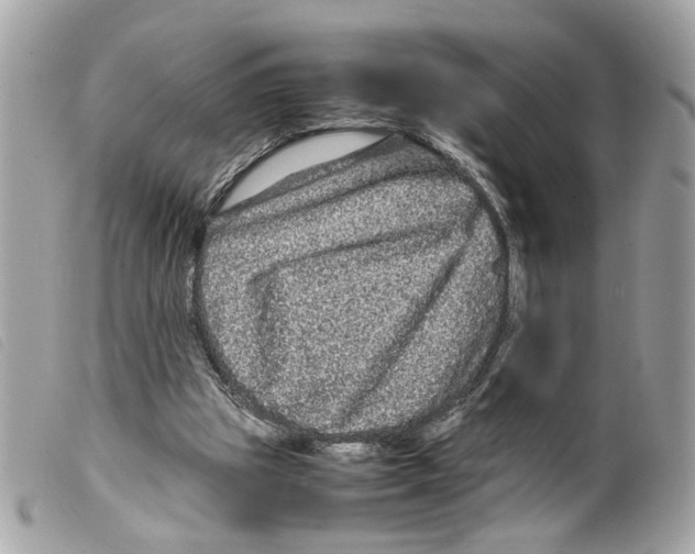 X0000099310153200805301202