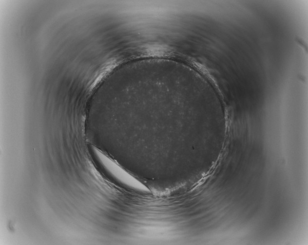 X0000099310154200805301202