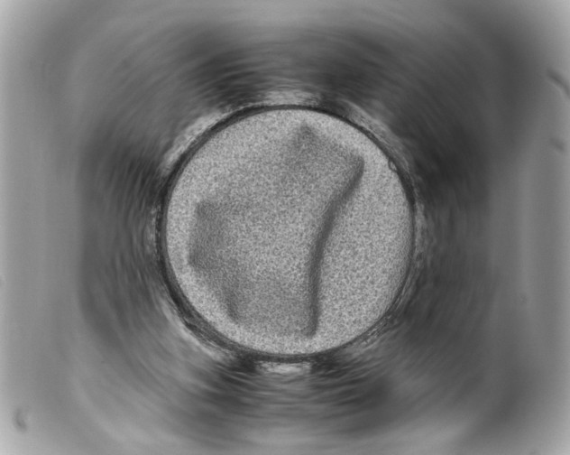 X0000099310155200805301202