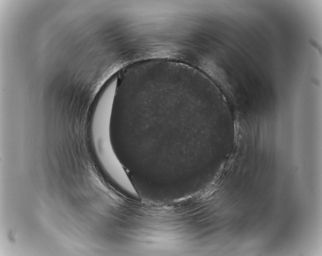 X0000099310156200805301202