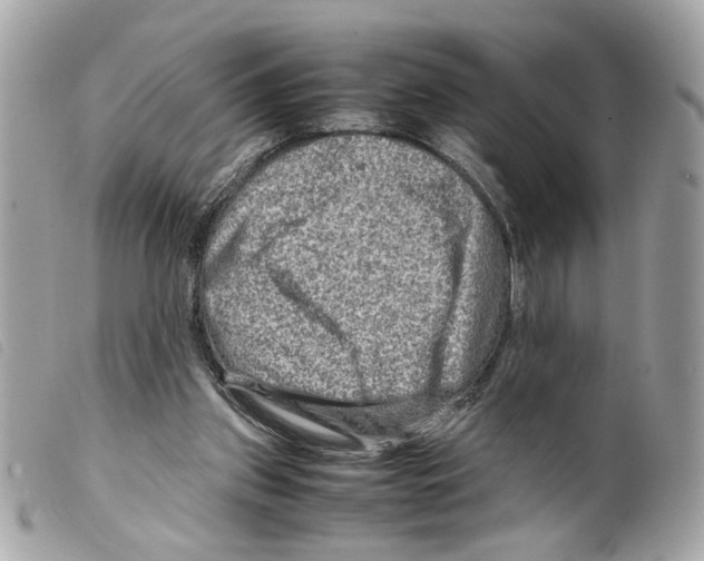 X0000099310157200805301202