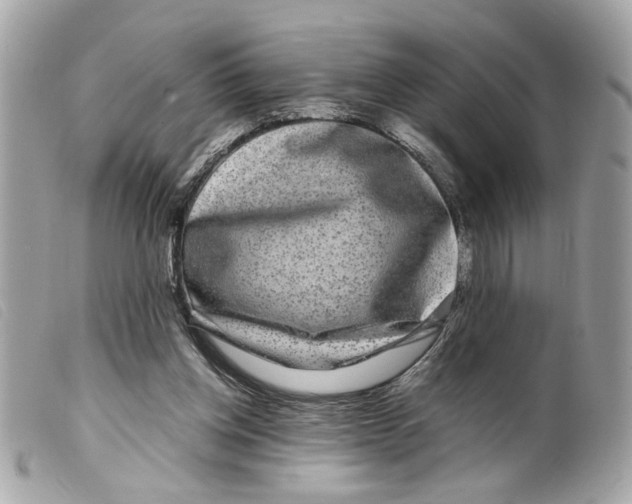 X0000099310158200805301202