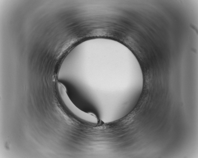 X0000099310160200805301202