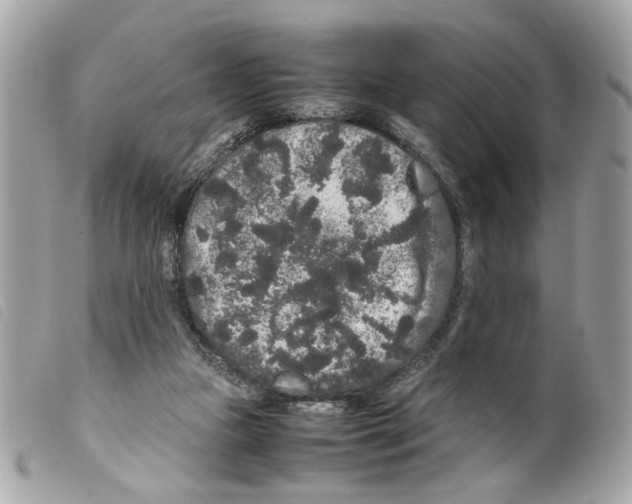 X0000099310161200805301202