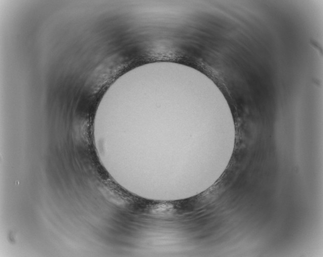 X0000099310162200805301202