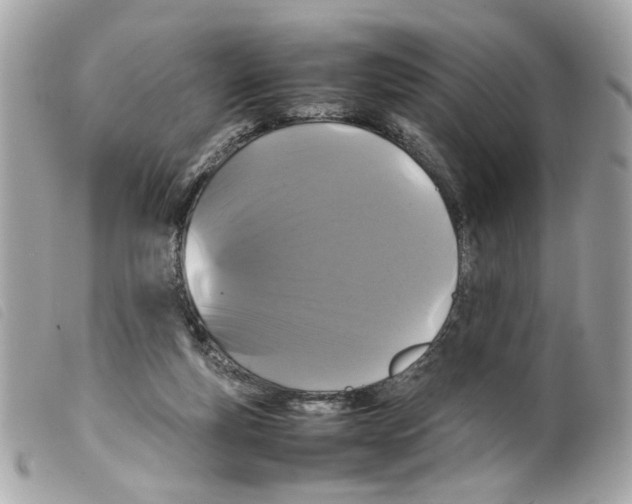 X0000099310163200805301202