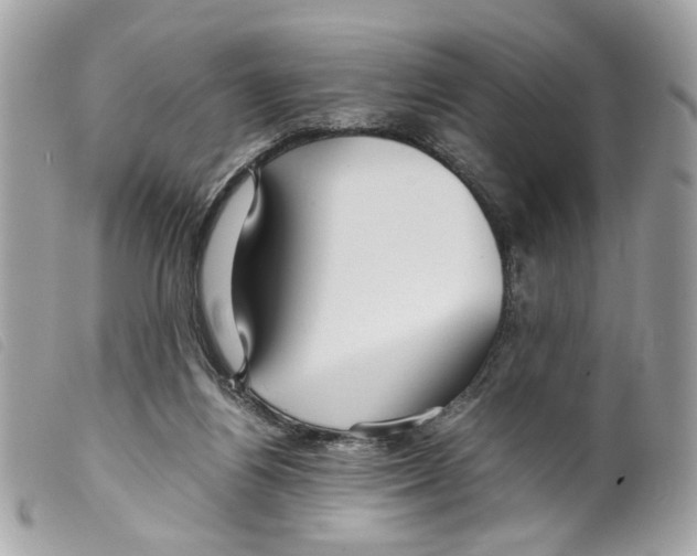 X0000099310164200805301202
