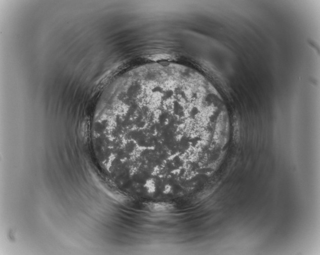 X0000099310165200805301202