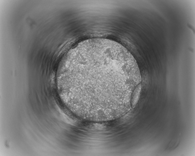 X0000099310166200805301202