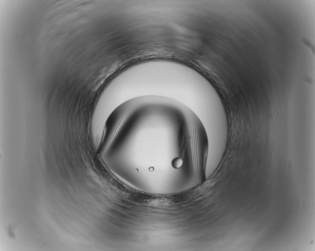 X0000099310168200805301202