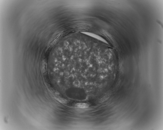 X0000099310169200805301202