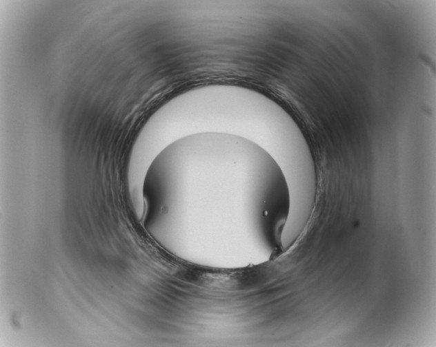 X0000099310170200805301202