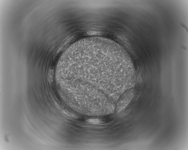 X0000099310171200805301202