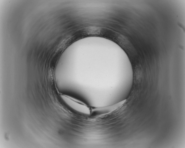 X0000099310172200805301202