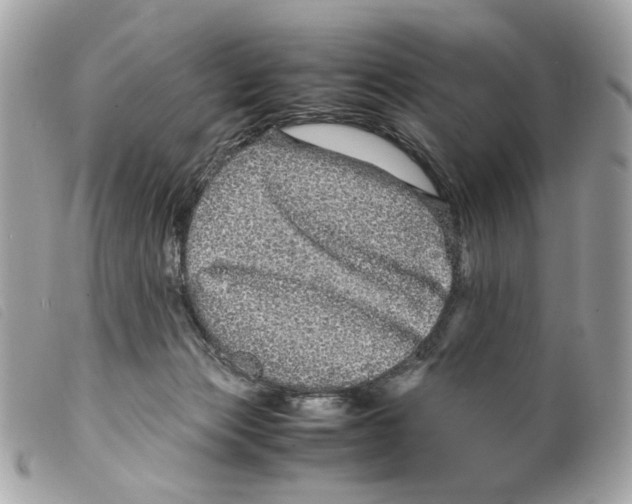 X0000099310173200805301202