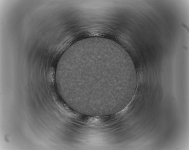 X0000099310174200805301202