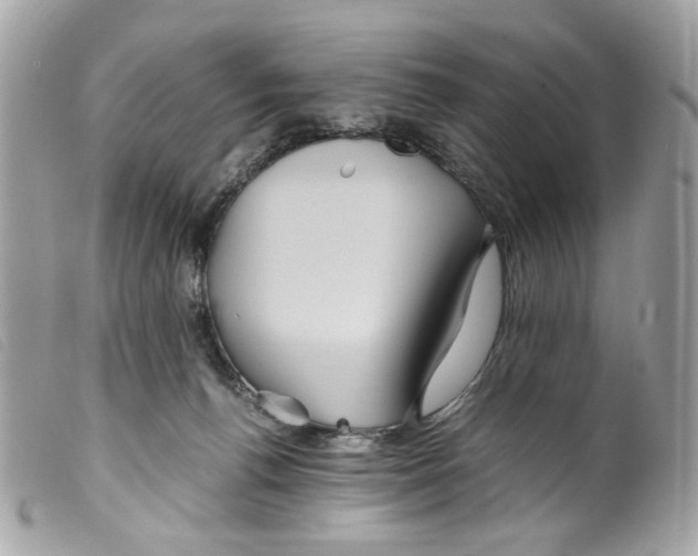 X0000099310176200805301202