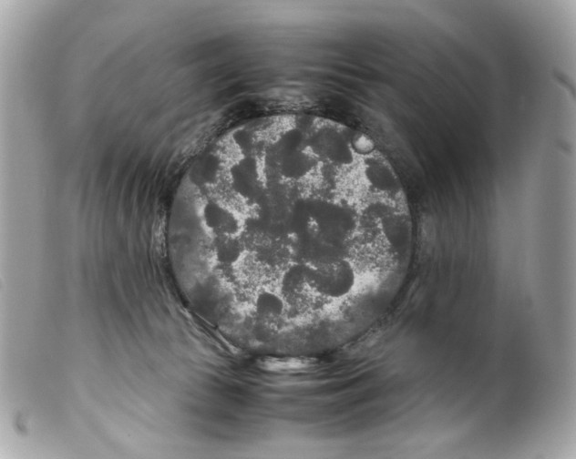 X0000099310177200805301202