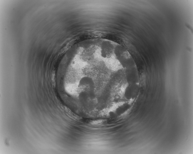 X0000099310178200805301202
