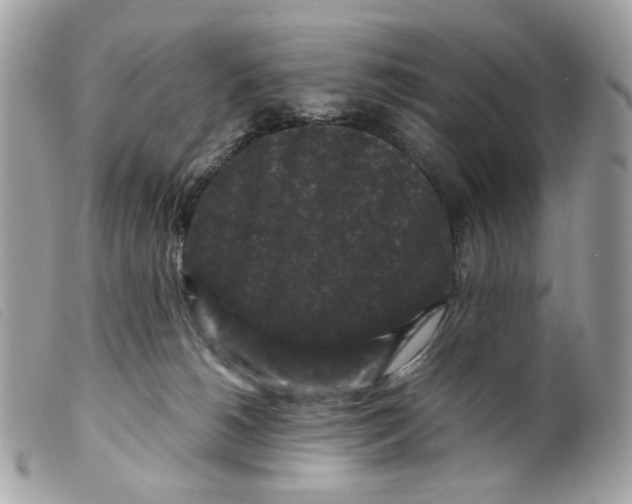 X0000099310180200805301202