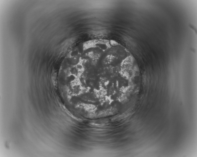 X0000099310181200805301202