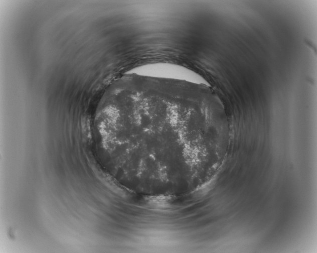 X0000099310182200805301202