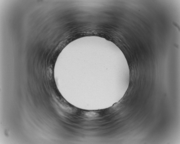 X0000099310183200805301202