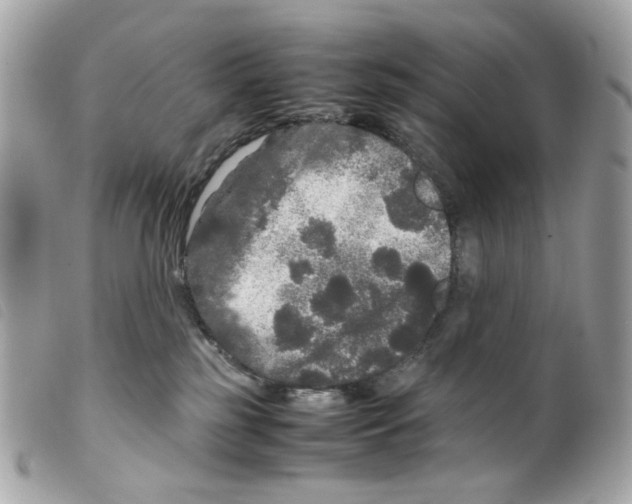 X0000099310185200805301202