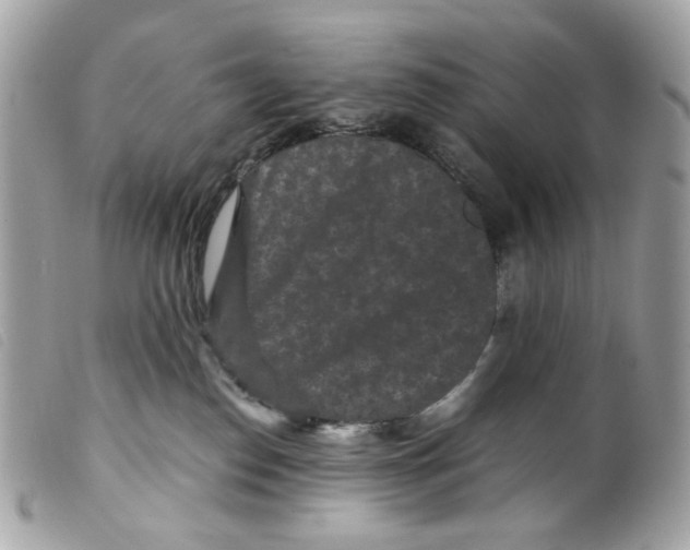 X0000099310186200805301202