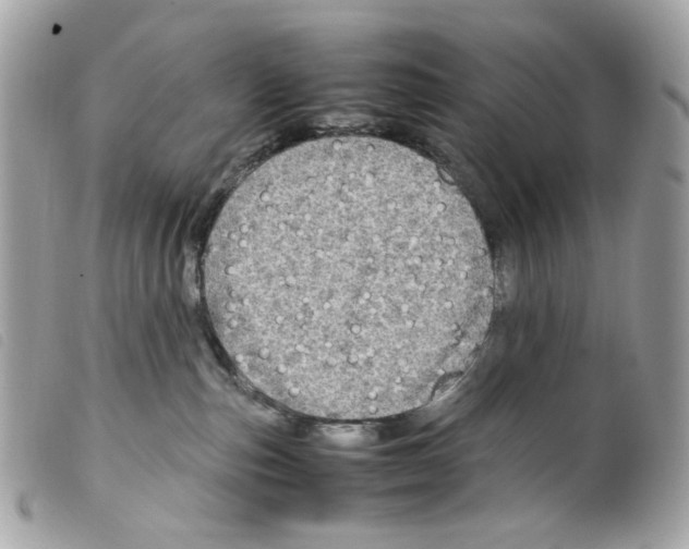 X0000099310187200805301202