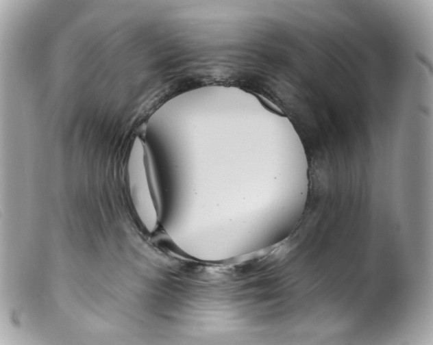 X0000099310188200805301202