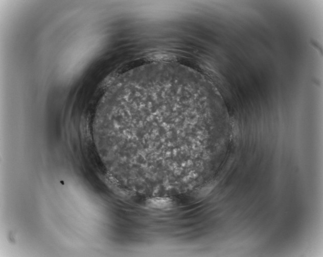 X0000099310189200805301202