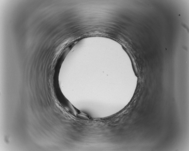 X0000099310193200805301201