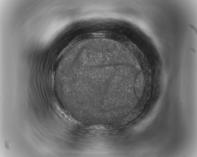 X0000099310194200805301201