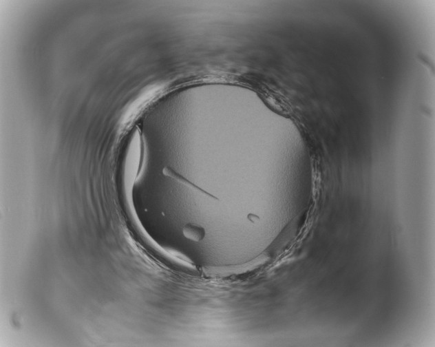 X0000099310197200805301201