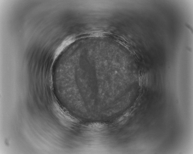 X0000099310198200805301201