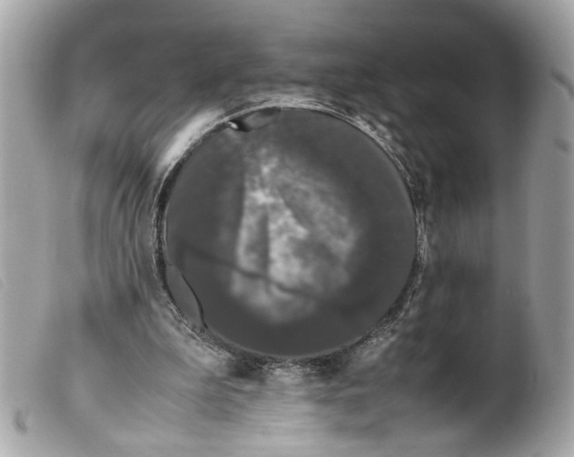 X0000099310199200805301201