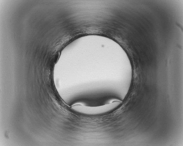 X0000099310201200805301201