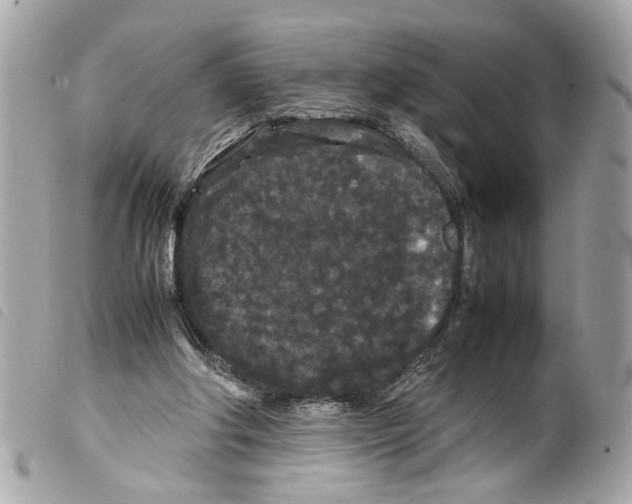 X0000099310202200805301201