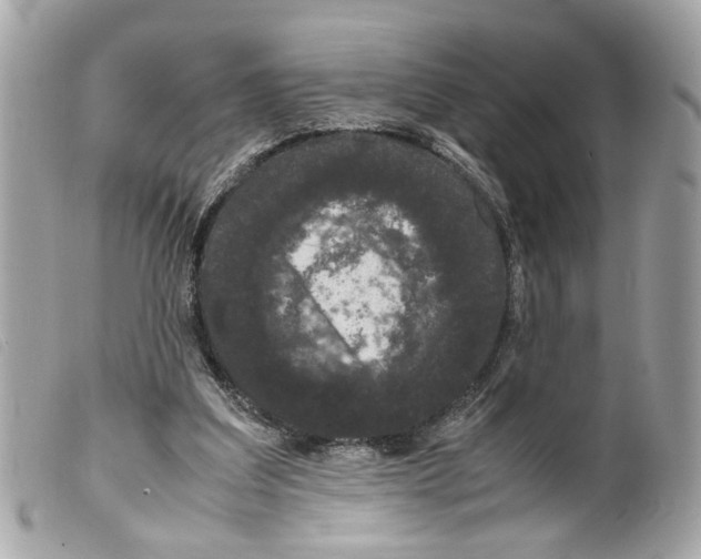 X0000099310203200805301201
