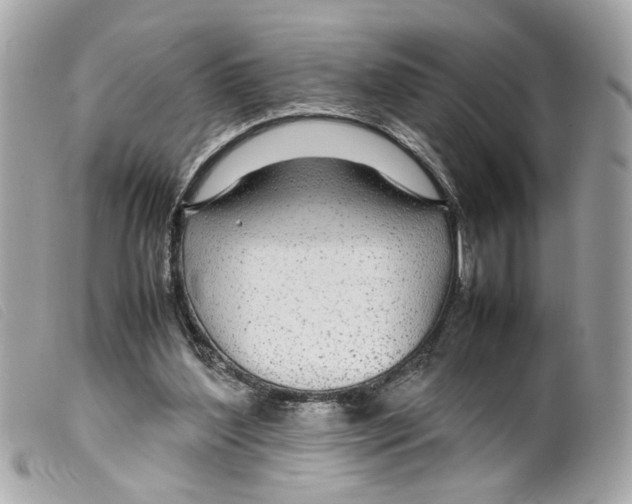 X0000099310204200805301201