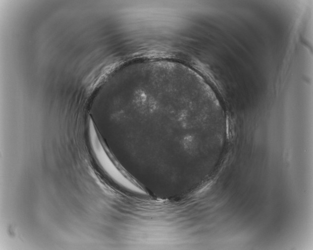 X0000099310205200805301201
