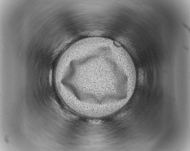 X0000099310206200805301201