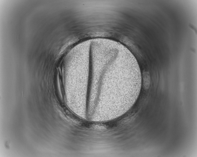 X0000099310207200805301201
