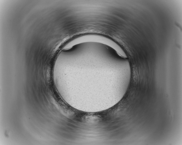 X0000099310208200805301201