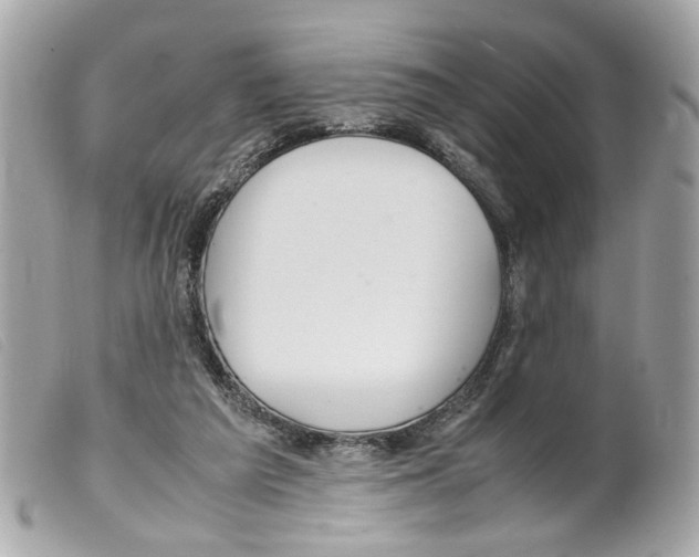 X0000099310209200805301201