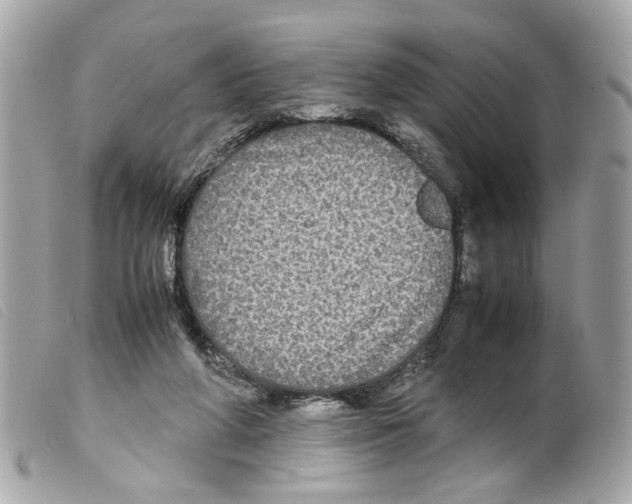 X0000099310210200805301201