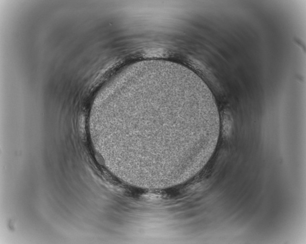 X0000099310211200805301201