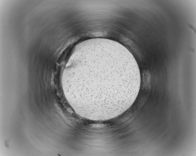 X0000099310212200805301201