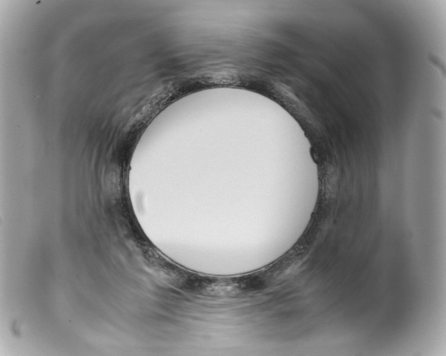 X0000099310213200805301201